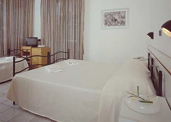 Felsinea Hotel Rimini